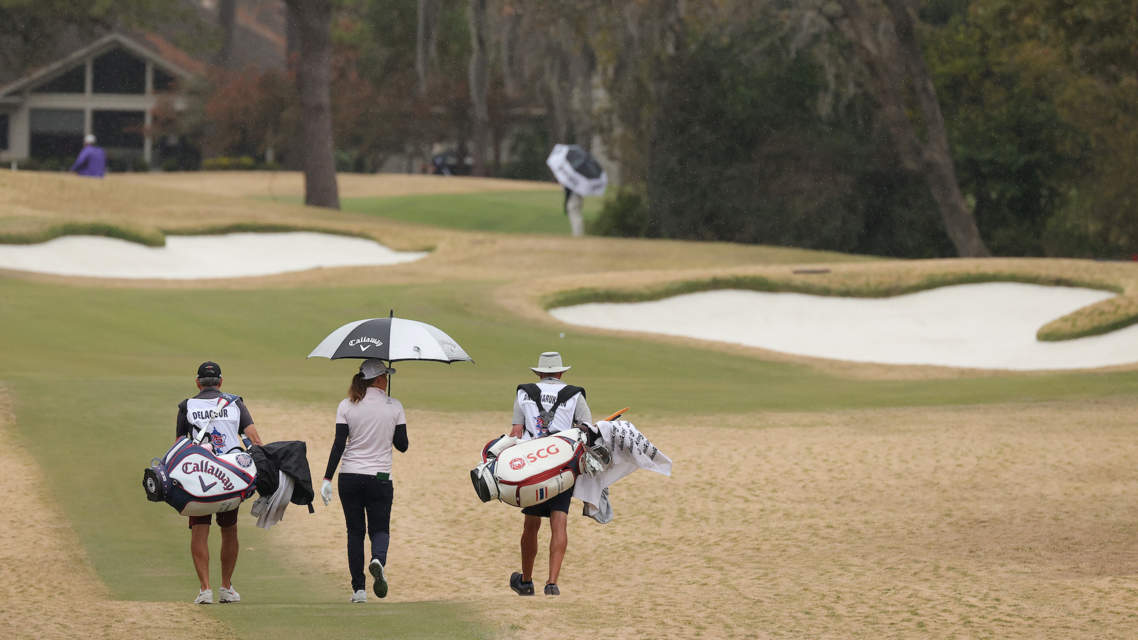 Delacour caddie