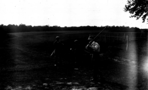 Louis Tellier